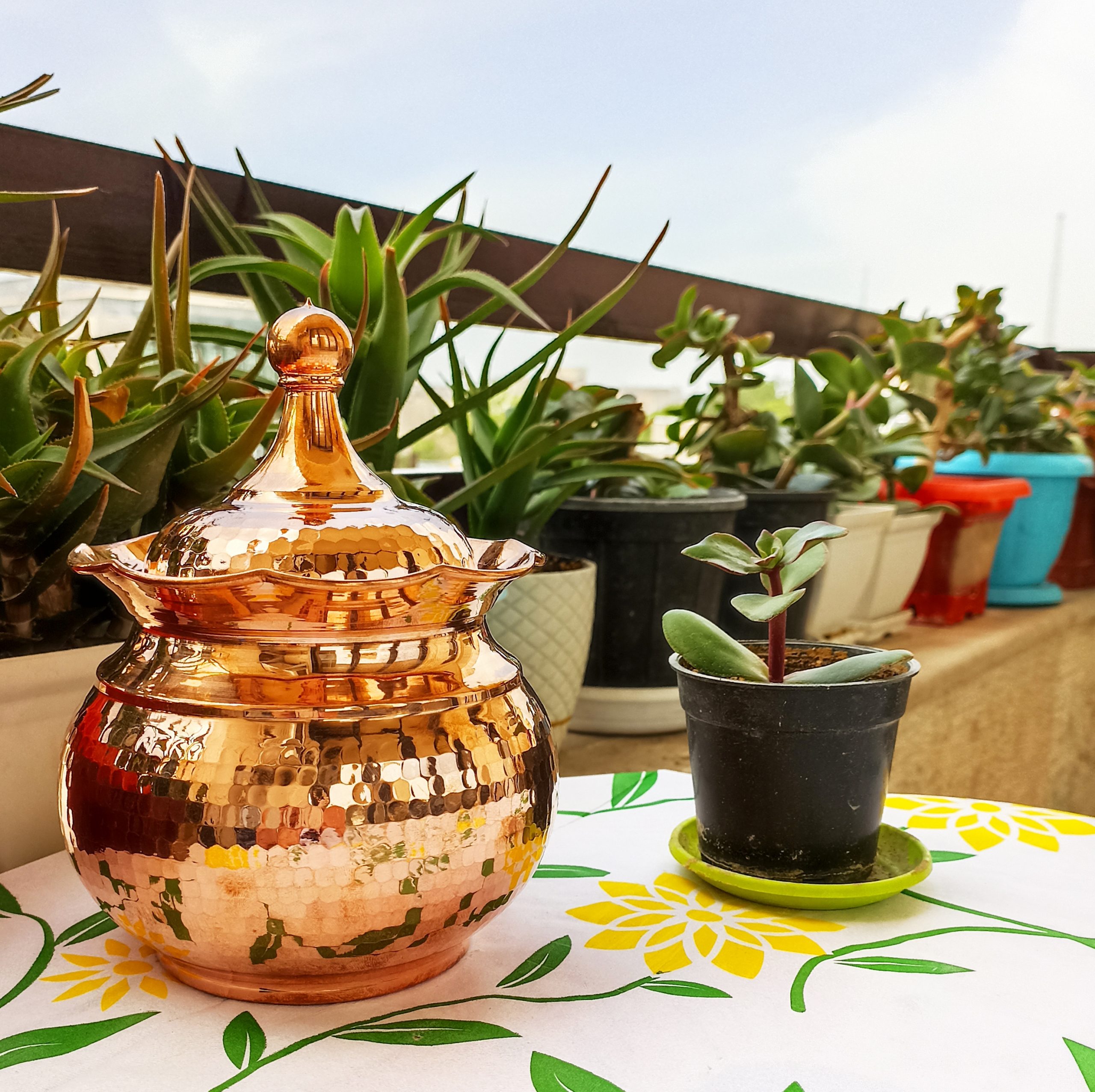 سرویس آجیل و شکلات خوری و قندان لب چین درب دار بدون پایه