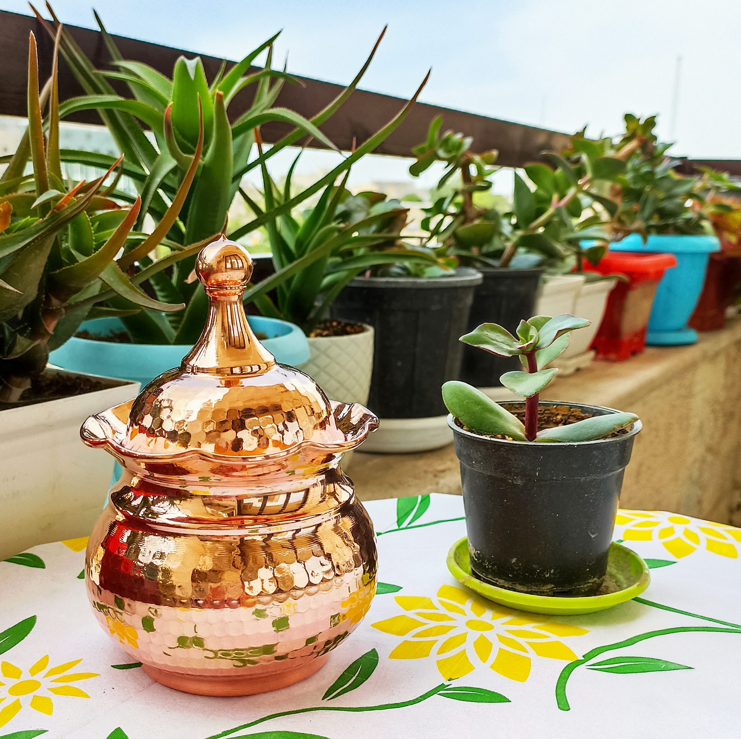 سرویس آجیل و شکلات خوری و قندان لب چین درب دار بدون پایه