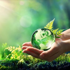 تاثیرات مثبت ظروف مسی بر روی محیط زیست