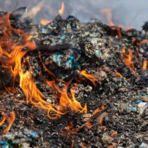 عدم وجود مواد شیمیایی مضر